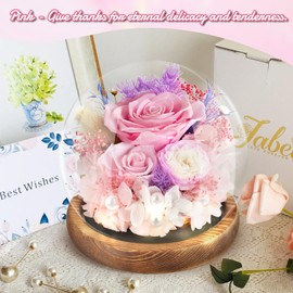Gifts for Women Preserved Flowers Rose in Glass Dome Forever Flowers Eternal Roses with Light Long-Lasting Real Flowers Mothers Day Birthday Gifts for Women Mom Grandma, Pink