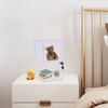 2-Shelf Clear Acrylic Display Case with Lock, Display Case Cabinet