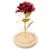 Rose in Glass Dome Lucky Beautiful Symbolism Romantic Enchanted Rose
