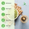 Cassava Leaves Powder - 100% Pure, Organic Dried Leaf Powder