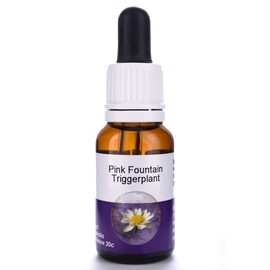 Living Essences of Pink Fountain Essential Oil 100 ml