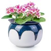 LITUDISO African Violet Pots, 6 Inch Self Watering Pots for