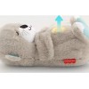 Fisher Price Nutria De Mattel Para Bebés 0-6 Meses