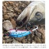 Coreman IP-35 Iron Plate, High and Low Silver Claw, 1.2