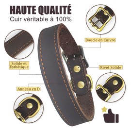 QRDA Brown Leather Dog Collar with Durable Brass Hardware Buckle and D Ring Adjustable Pet Collar for Small Dogs