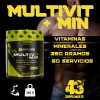 Suplemento Multivitamínico + Minerales 43 Supplements 350gr