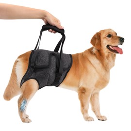 Framad Dog Sling for Large Dogs Hind Leg Support, Adjustable Lift Harness for Medium Large Elderly Dogs Rear Leg Support (Size XL)