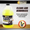 Instant Power Professional Enzyme Drain Cleaner, Drainage Clog Remover, 128