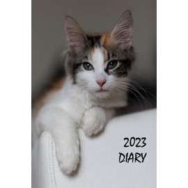 2023 Diary: Cat Lover's Planner, Organiser and Journal, Standard Size, UK and US Holidays, Calico Kitten Edition