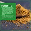 Jiva Organics Organic Ground Coriander Powder 1.5 LB Bulk Bag