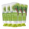 Face Wash Story Green Tea Cleansing Foam 120ml 5pcs /