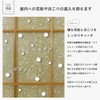 P224 Lace Morris Triple Net Triple Net for Shoji, Unbreakable