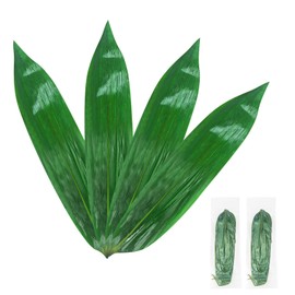 60 Pcs Fresh Vacuum Banana Leaves for Cooking, Bamboo Leaves for Zongzi Leaf Sushi Bamboo Leaf Plating Party Decoration (2 Pack-30Pcs)