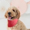 BlissBud Pet's Cotton Bandanas with Adustable Button for Medium Dog