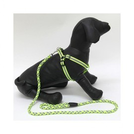 LuminaD Functional Reflective Dog Leash & Collar for Outdoor Walks Functional Reflective Leash Red