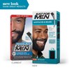 Just For Men Brush-in Color Gel for Mustache & Beard,