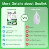 Soulink Laundry Detergent Sheets, 80 Count, Unscented, Plant-based, Eco-Friendly, No