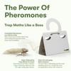 BugMD Clothes Moth Boss Sticky Glue Bug Repellent Pheromone Attractor