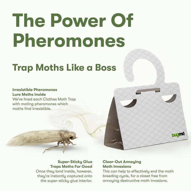 BugMD Clothes Moth Boss Sticky Glue Bug Repellent Pheromone Attractor