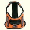 Dogline Quest No-Pull Dog Harness with 3D Rubber Service Dog