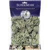 SuperMoss Super Moss (25116 Reindeer Moss Preserved, Moss Green, 2oz