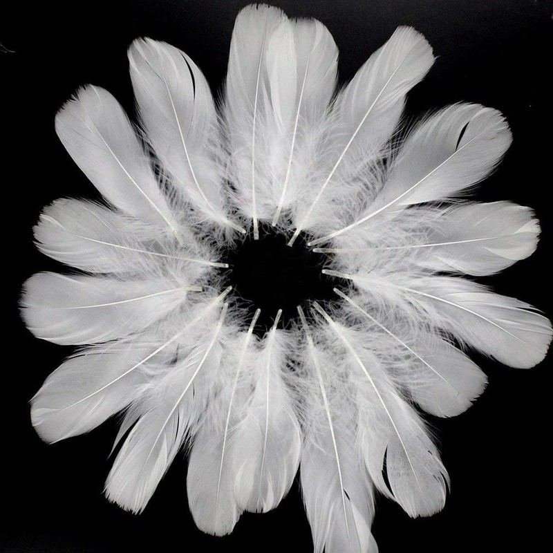 Feather Shower Feathers Plenty of 120 Decorative Feathers Wedding Wedding