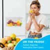 Restynic Magnetic Metal Basket Organizer for Fridge & Locker, Storage