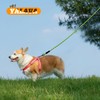 YALAVA Dog Leash 4 FT with Comfortable Black Padded Handle,1/2in