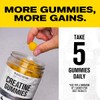 Jacked Factory Creatine Monohydrate Gummies 5g Daily Dose (1g per