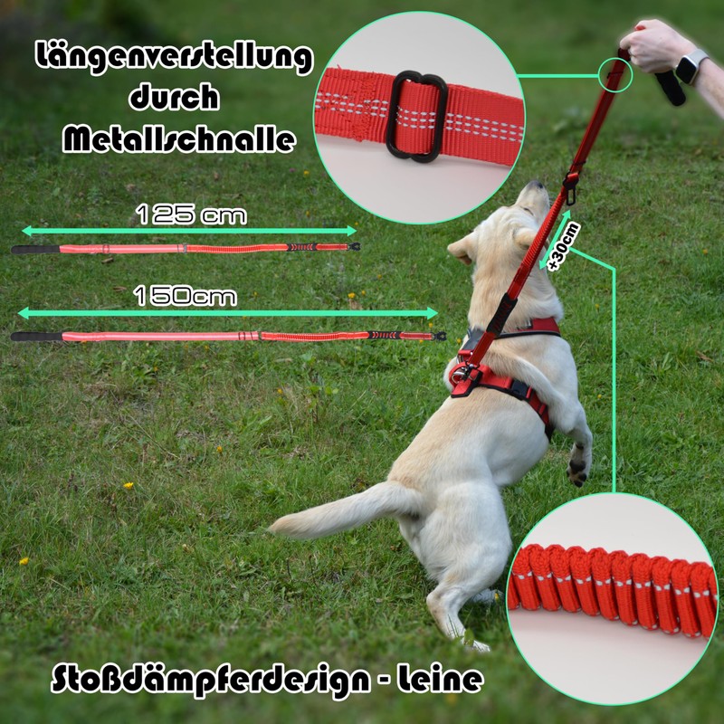 ILII Dog Lead (Red, 140)