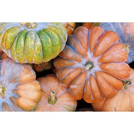 Yellow of Paris Pumpkins Seeds - Heirloom
