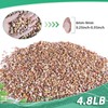 Succulent Rocks for Plants Tiny Pebbles for Planters 4.8LB Pea