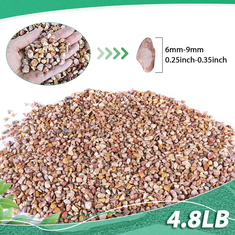 Succulent Rocks for Plants Tiny Pebbles for Planters 4.8LB Pea