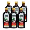 DAILYONE Premium Rosa Sambucus Elderberry Syrup 250ml 6 bottles