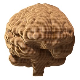 CARTONIC 3D Brain Puzzle - Made from Recycled Cardboard - Fun and Engaging Activity for All Ages