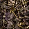 국산 자소엽(소엽) 300g 잎 차즈기 건조 건 말린 마른 한방