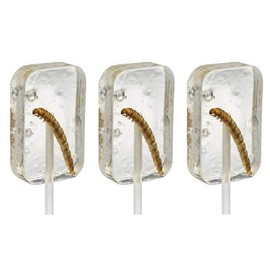 Hotlix Tequila Worm Sucker Pack of 3 Insect Candy