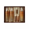 Danahan 다나한 본연진 2종 특별기획세트(스킨2개+로션1개) [다나한 본연진 크림 50ml /여행용2종증정/] Danahan Bonyeonjin 2-Item Special Set (2 Skins + 1 Lotion) [Danahan Bonyeonjin Cream 50ml / Travel Size 2 Items Gift]