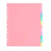 Viquel - Pack of 12 Plastic Rainbow Pastel Dividers -