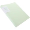 Carpeta de Archivos A4 Transparente 60 Hojas, Plástico Verde
