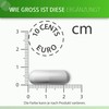 Shiitake (AHCC) - Strengthens the Immune System - Shiitake Mycelium