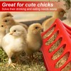 6 Pcs Chick Feeder and Waterer Kit with Chick Perch