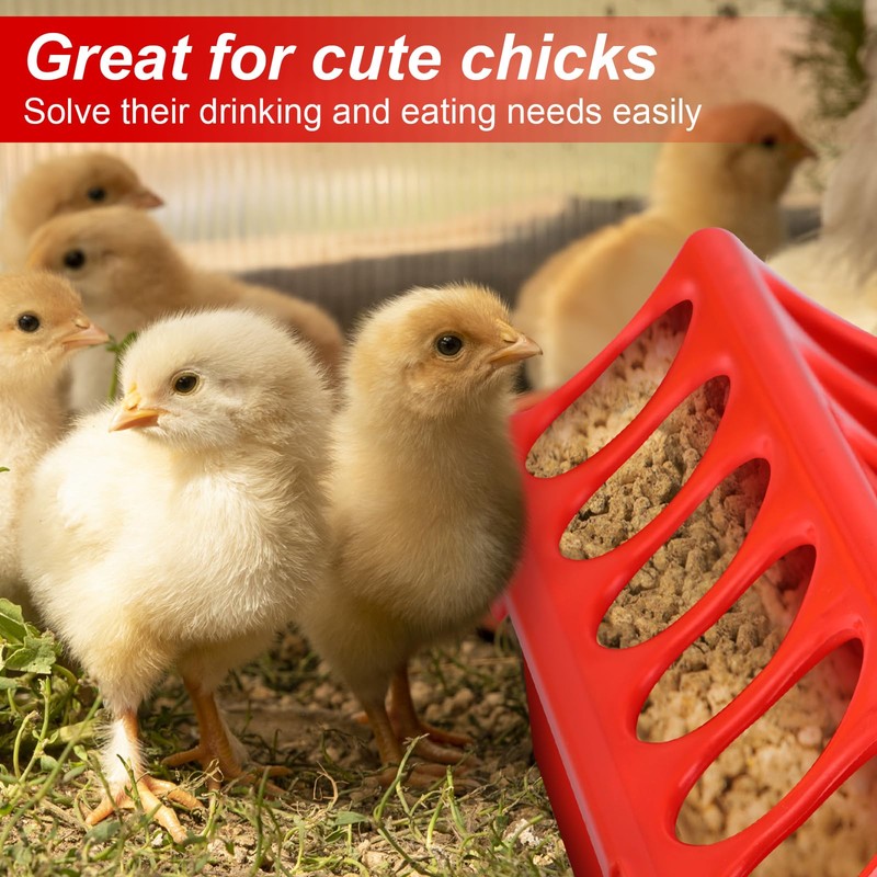 6 Pcs Chick Feeder and Waterer Kit with Chick Perch
