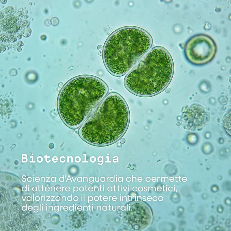 Omia Alimenta, Balsamo Nutriente per Capelli Secchi e Spenti, Nutre