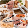 Nut Crackers Tools Pecan Cracker, Walnut Clip Heavy Duty Nutcracker