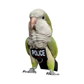 Bird Clothes Parrot Diapers Bird Flight Suits, Reusable Waterproof Diapers pet Bird Supplies (L)