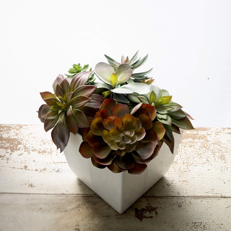 The HC Companies ASP08000P80 Square Planter, 8", Glossy White