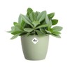 elho Brussels Round 14 - Flower Pot for Indoor -