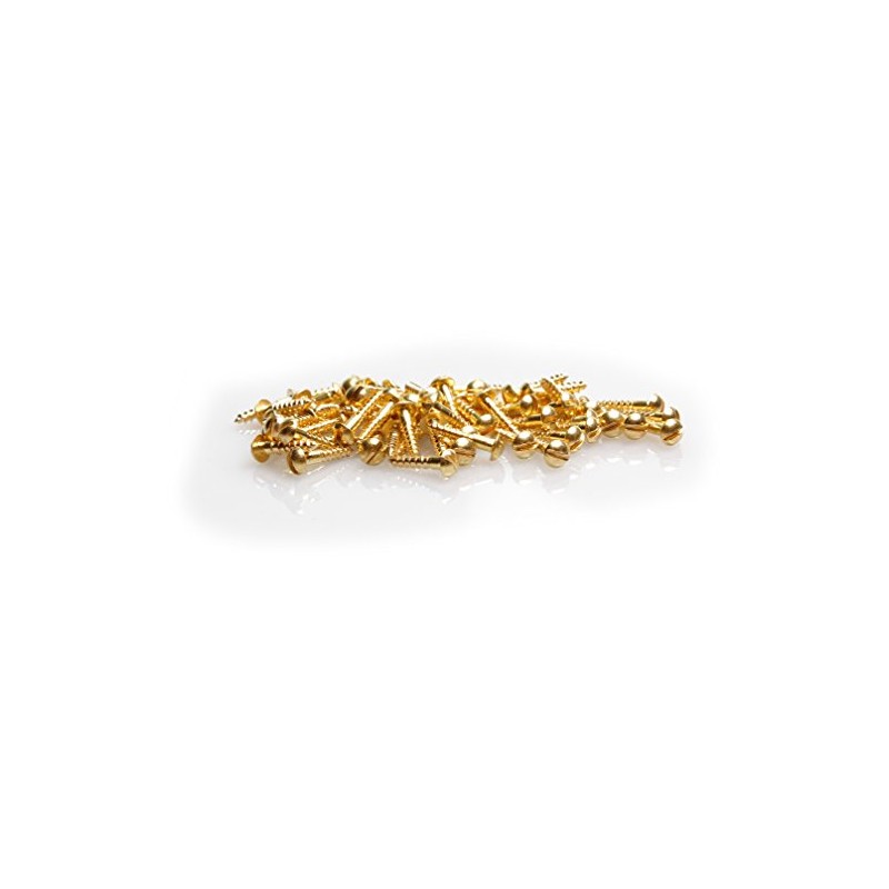100 x Mini Din 96 (Semi-Circular Head Wood Screws with