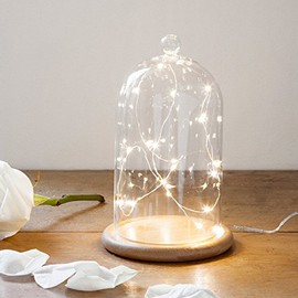 Lights4fun Deko Glasglocke mit 20er Micro Draht Lichterkette perlweiß 19cm Muttertagsgeschenk Geschenke zum Muttertag Deko Glasglocke mit Holzboden